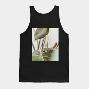 Leaves, Tropical leaves, Leaf, Modern art, Wall art, Print, Minimalistic, Modern, Scandinavian print Tank Top